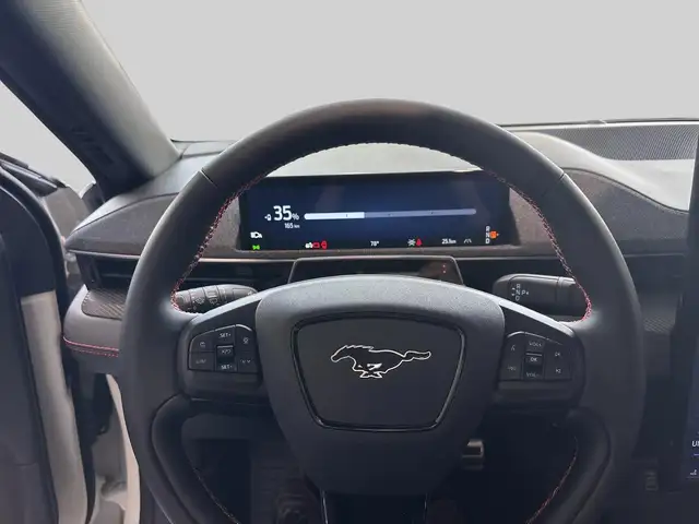 Ford Mustang Mach-E view 10