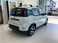 Fiat Panda SPORT | 1.0 HYBRID | PDC + CARPLAY | GARANTIE! Wit - thumbnail 5