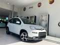Fiat Panda SPORT | 1.0 HYBRID | PDC + CARPLAY | GARANTIE! Wit - thumbnail 1