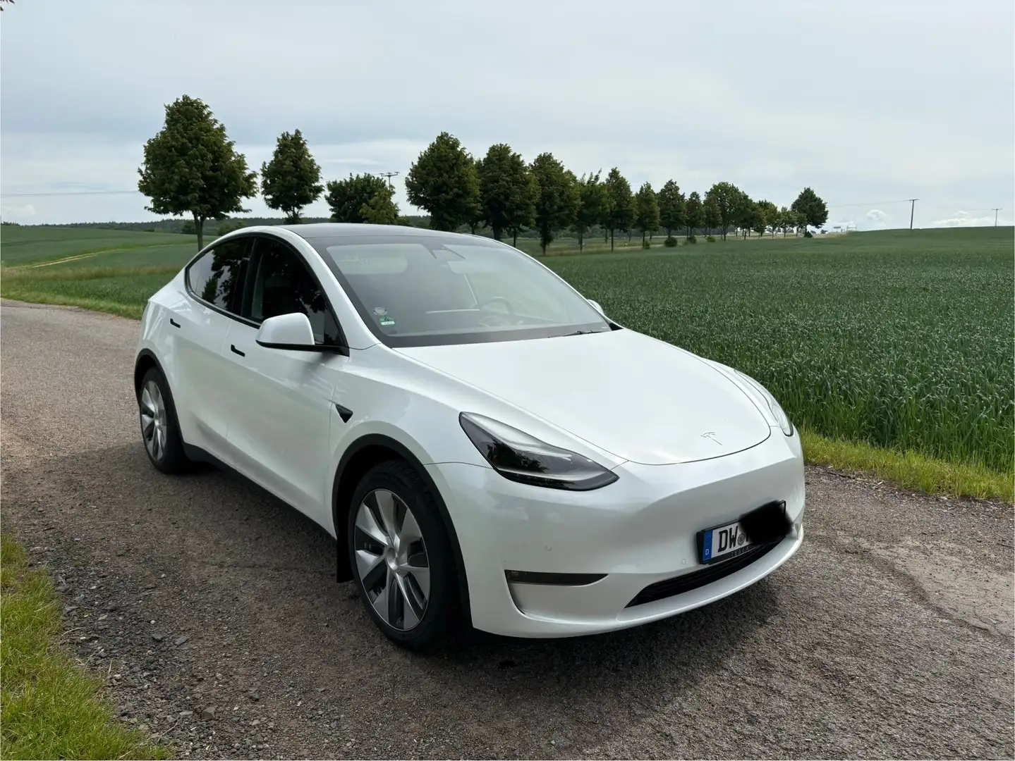 Tesla Model Y Tesla Model Y Longe Range AWD 1. Hand AHK Garantie Weiß - 1