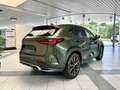 Lexus 2 450H+ 4x4 F-Sport Line Verde - thumbnail 4