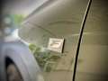 Lexus 2 450H+ 4x4 F-Sport Line Verde - thumbnail 8