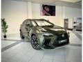 Lexus 2 450H+ 4x4 F-Sport Line Verde - thumbnail 2