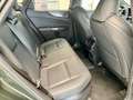 Lexus 2 450H+ 4x4 F-Sport Line Verde - thumbnail 15