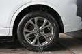 Ford Kuga 5 Duratec Plug-in-Hybrid PHEv ST-Line Weiß - thumbnail 8