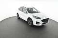 Ford Kuga 5 Duratec Plug-in-Hybrid PHEv ST-Line Pickerl NEU Weiß - thumbnail 10