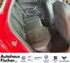 SEAT Ibiza FR-Line Black Edition 1.0 TSI Rot - thumbnail 13