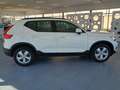 Volvo XC40 T3 Business Plus Blanco - thumbnail 4