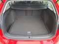 Volkswagen Golf Variant Golf Variant Alltrack 2,0 TDI DSG 4Motion Alltrack Rot - thumbnail 13
