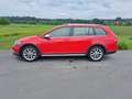 Volkswagen Golf Variant Golf Variant Alltrack 2,0 TDI DSG 4Motion Alltrack Rot - thumbnail 5
