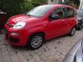 Fiat New Panda 1.3 MTJ Rouge - thumbnail 12