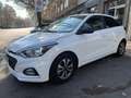 Hyundai i20 i20 II 5p 1.2 mpi Tech 75cv Bianco - thumbnail 3