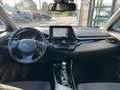 Toyota C-HR C-LUB Gris - thumbnail 13