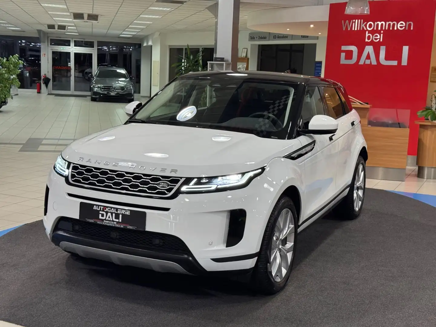 Land Rover Range Rover Evoque P300e NAVI-CARPLAY-SHZ-PLUGIN Weiß - 1