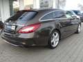Mercedes-Benz CLS 400 CLS400 AMG 4Matic Shooting Brake H&K Massage Braun - thumbnail 5
