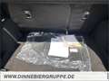 Ford EcoSport ACTIVE. Kamera+Navi+Winterpaket+SHZ Blauw - thumbnail 9