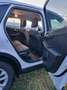 Ford Kuga 1.5 EcoBoost FWD Titanium (EU6d) Blanc - thumbnail 5