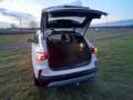Ford Kuga 1.5 EcoBoost FWD Titanium (EU6d) Wit - thumbnail 10