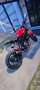 Ducati Multistrada 1000 special Rouge - thumbnail 6