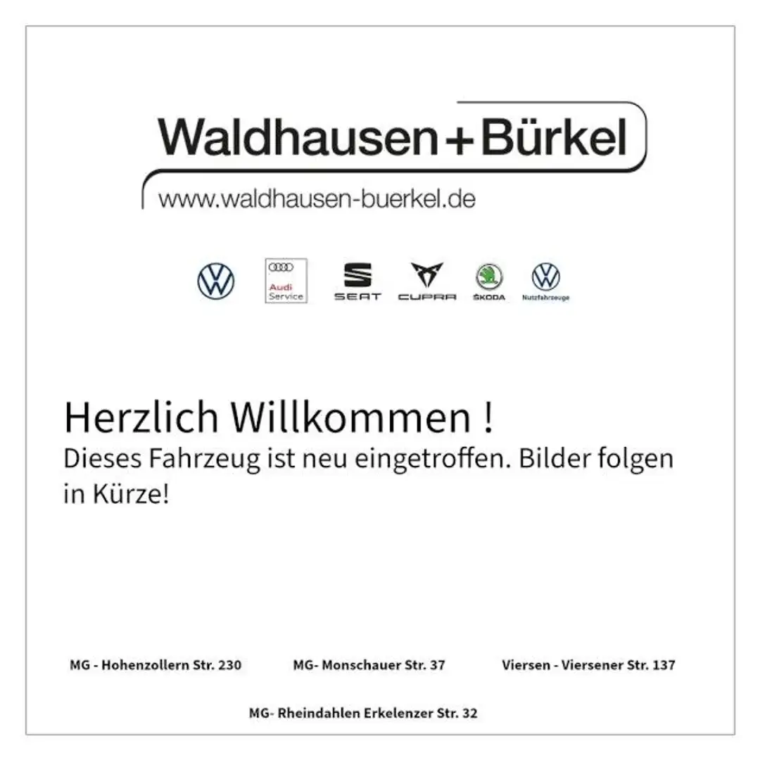 CUPRA Formentor CUPRA Formentor 2.0 TDI DSG AHK+Dynamic+Intellig Gris - 1