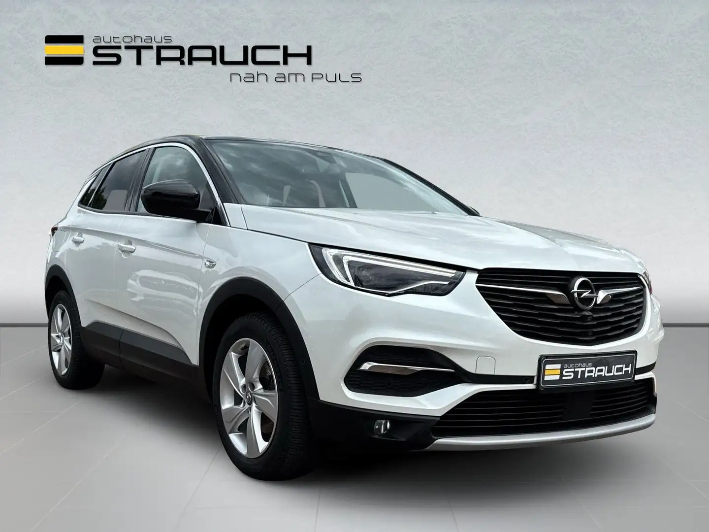Opel Grandland X Grandland 1.6 Ultimate 360°Kam/BiLED/Pano/Sitzbe Wit - 1