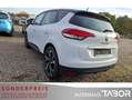 Renault Scenic 1.2 TCe 130 BOSE-Ed. Navi Keyl SHZ PDC - thumbnail 4