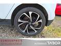 Renault Scenic 1.2 TCe 130 BOSE-Ed. Navi Keyl SHZ PDC - thumbnail 11