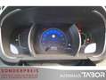 Renault Scenic 1.2 TCe 130 BOSE-Ed. Navi Keyl SHZ PDC - thumbnail 6