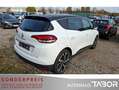 Renault Scenic 1.2 TCe 130 BOSE-Ed. Navi Keyl SHZ PDC - thumbnail 3