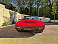 Ferrari 308 GT4 2+2 Dino Rojo - thumbnail 7