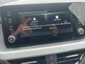 Skoda Kamiq Kamiq 1.5 TSI DSG 130Jahre AHK Kamera 5J.Garantie Grau - thumbnail 11