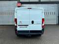 Citroen Jumper Kasten 30 L2H1 Profi BlueHDi 130 Weiß - thumbnail 10