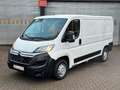 Citroen Jumper Kasten 30 L2H1 Profi BlueHDi 130 Weiß - thumbnail 2