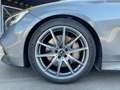Mercedes-Benz S 560 4M /Navi/Totw/Burm/ACC/Luft/AMG Grigio - thumbnail 11