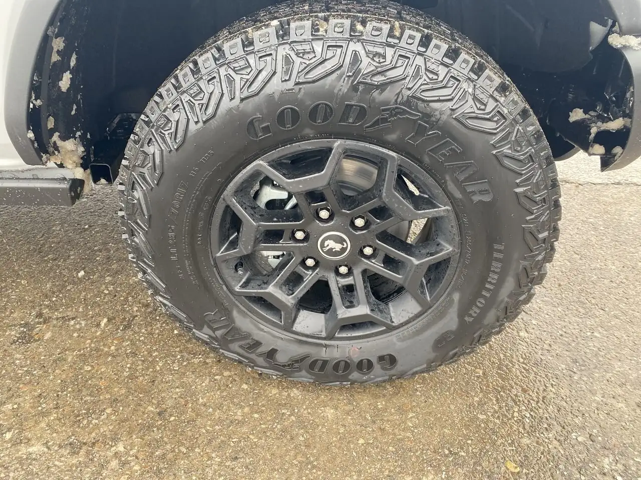 Ford Bronco снимка Ford Bronco