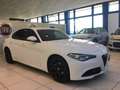 Alfa Romeo Giulia MY19 2.2 T-D 160CV AT8 Super USATO GARANTITO Bianco - thumbnail 5