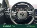 Skoda Fabia 1.0 tsi evo style 95cv Grigio - thumbnail 8