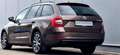 Skoda Octavia Combi 1,6 TDI Ambition Limited Pickerl 7/2027+4 Braun - thumbnail 4