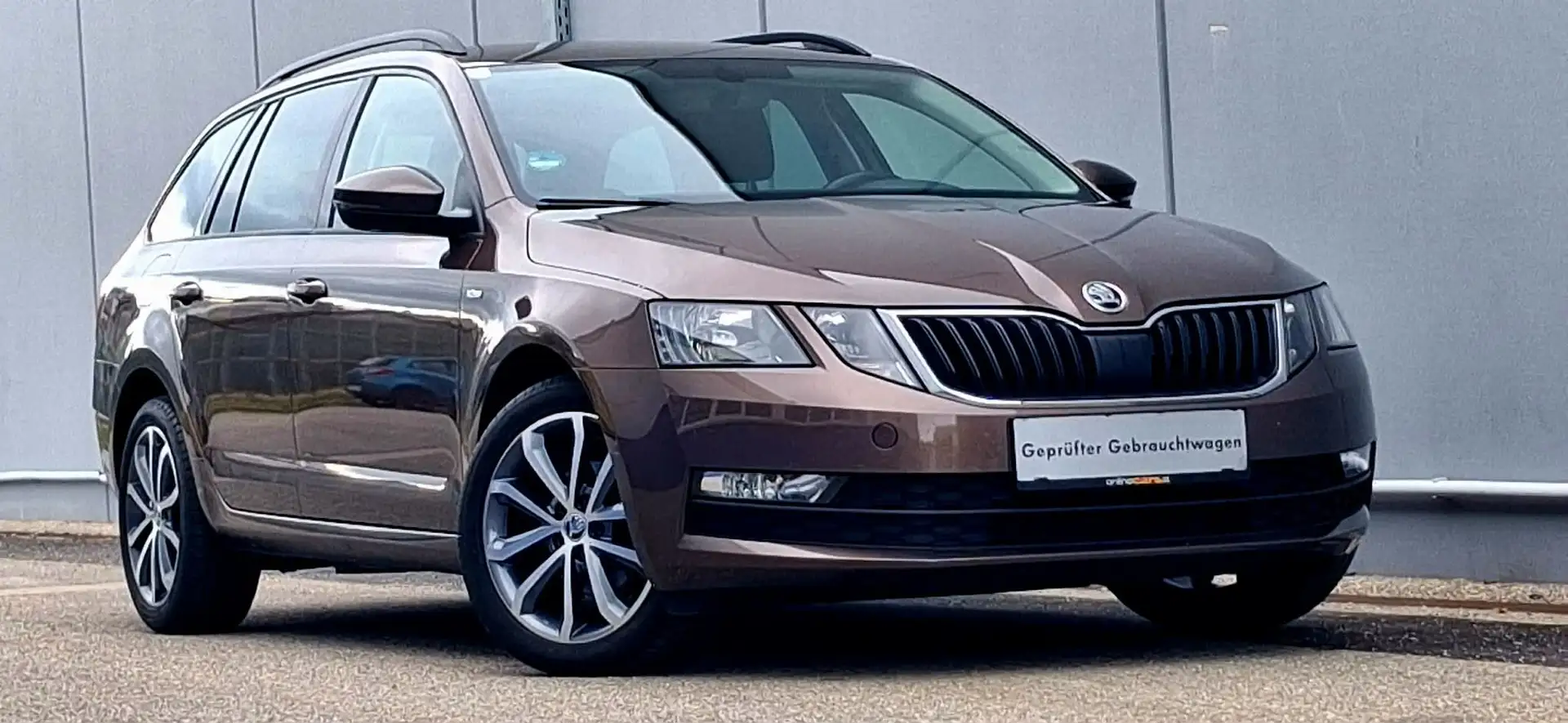 Skoda Octavia Combi 1,6 TDI Ambition Limited Pickerl 7/2027+4 Braun - 1