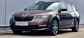 Skoda Octavia Combi 1,6 TDI Ambition Limited Pickerl 7/2027+4 Braun - thumbnail 3