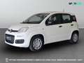 Fiat Panda III 2024 - Panda 1.0 firefly hybrid s&s 70cv Bianco - thumbnail 1