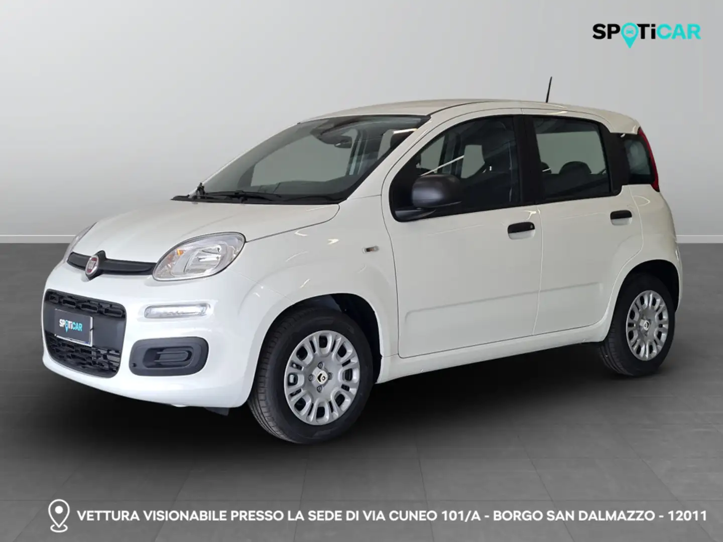Fiat Panda III 2024 - Panda 1.0 firefly hybrid s&s 70cv Bianco - 1