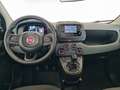 Fiat Panda III 2024 - Panda 1.0 firefly hybrid s&s 70cv Bianco - thumbnail 8