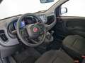 Fiat Panda III 2024 - Panda 1.0 firefly hybrid s&s 70cv Bianco - thumbnail 10