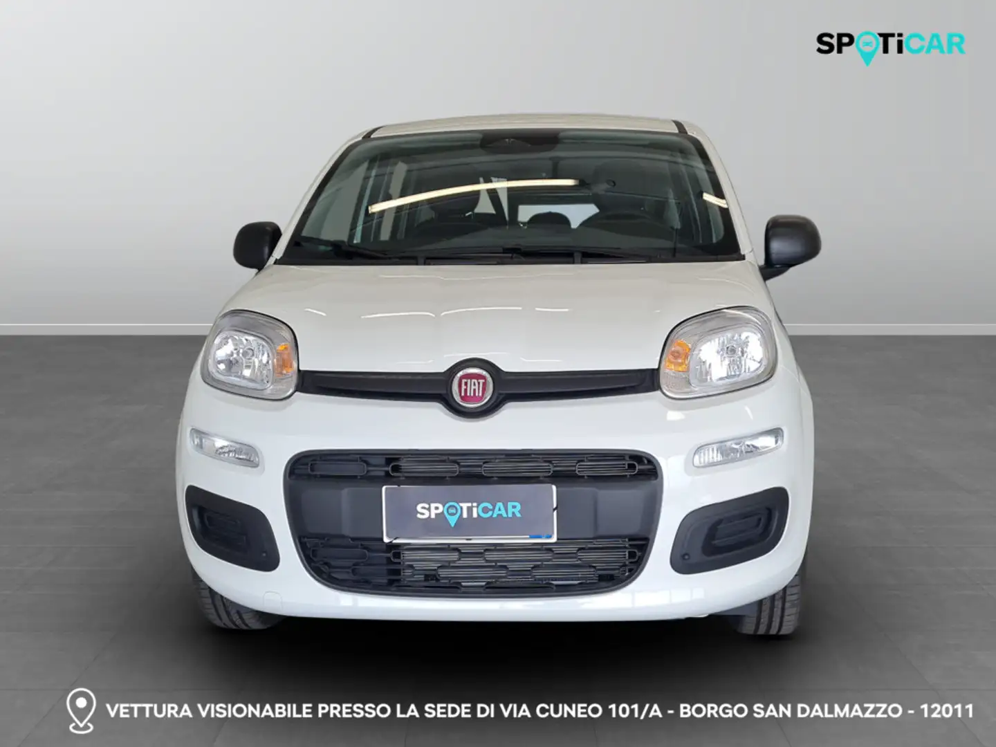 Fiat Panda III 2024 - Panda 1.0 firefly hybrid s&s 70cv Bianco - 2