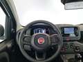 Fiat Panda III 2024 - Panda 1.0 firefly hybrid s&s 70cv Bianco - thumbnail 9