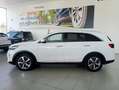 Kia Sorento 2.2CRDi Drive 4x2 Blanco - thumbnail 12