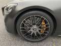 Mercedes-Benz AMG GT C Roadster Edition 50 Grau - thumbnail 12