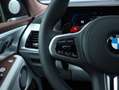 BMW XM 50e | Bowers & Wilkins | Driving Assistant Prof. | Gris - thumbnail 21