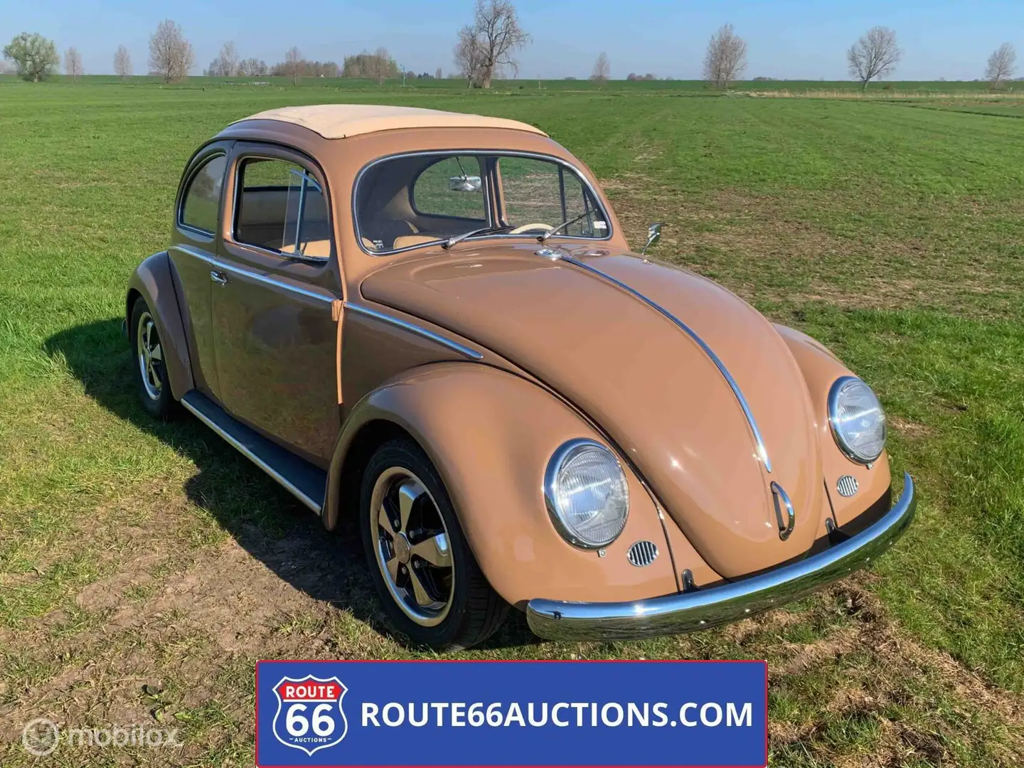 Volkswagen Beetle Oval Ragtop 1957 | Route 66 auctions Bruin - 1